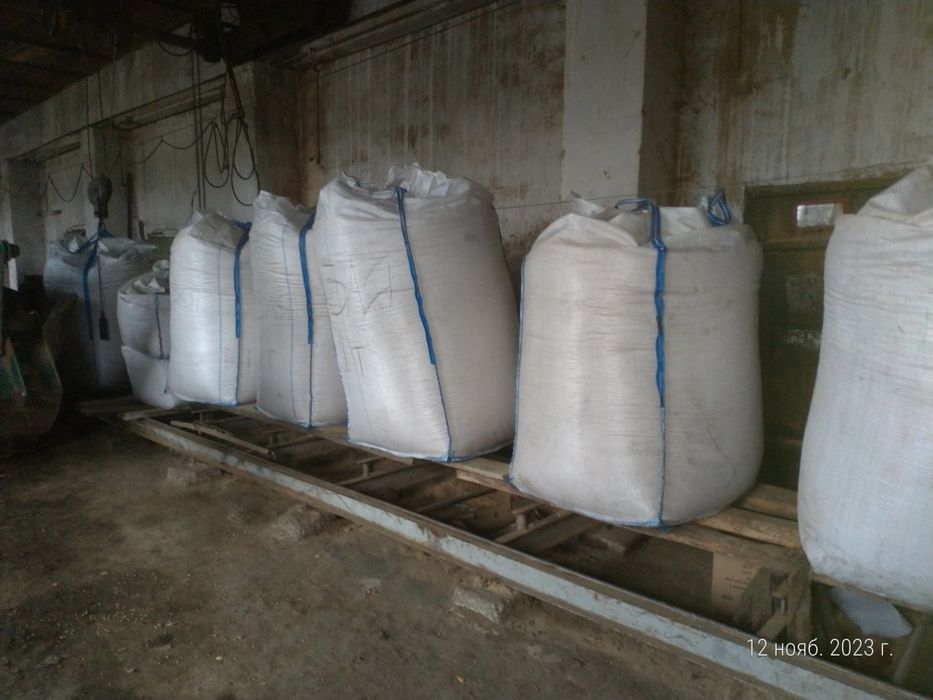 Соя Канадський сорт "Венус"