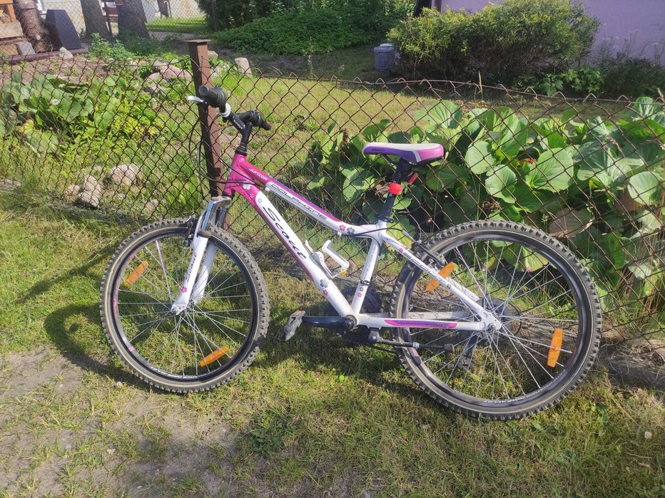 Rower Scout Dolphine Junior 24 cale