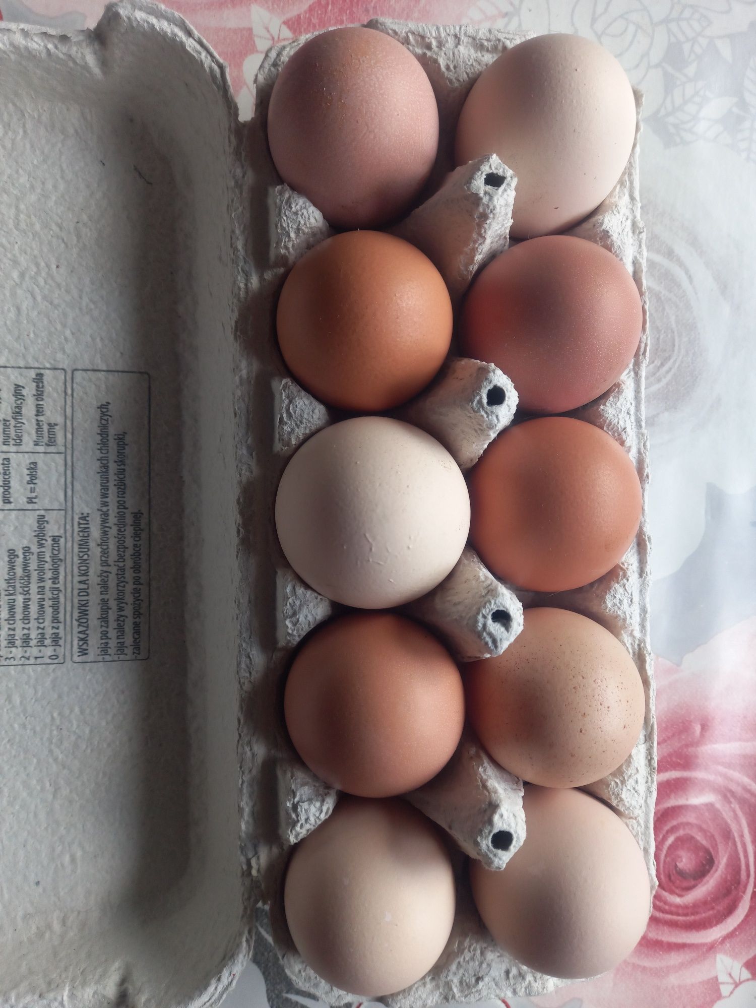 Jaja jajka wiejskie naturalne bez pasz i dodatków
