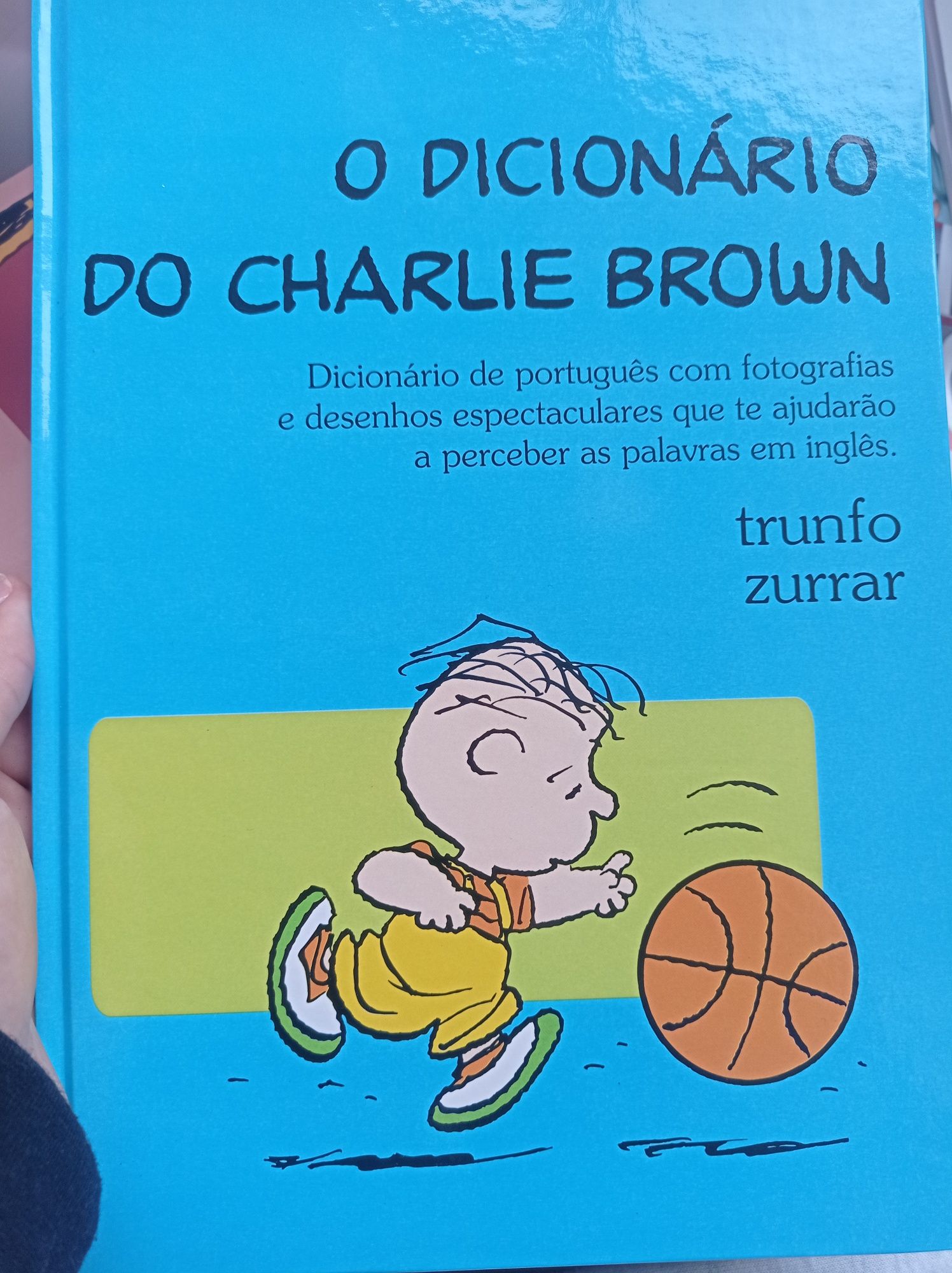 Coleção toda dos Dicionários do Charlie Brown