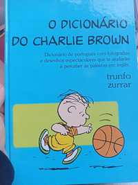 Coleção toda dos Dicionários do Charlie Brown