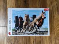Puzzle Galopujące Konie 1000el.
