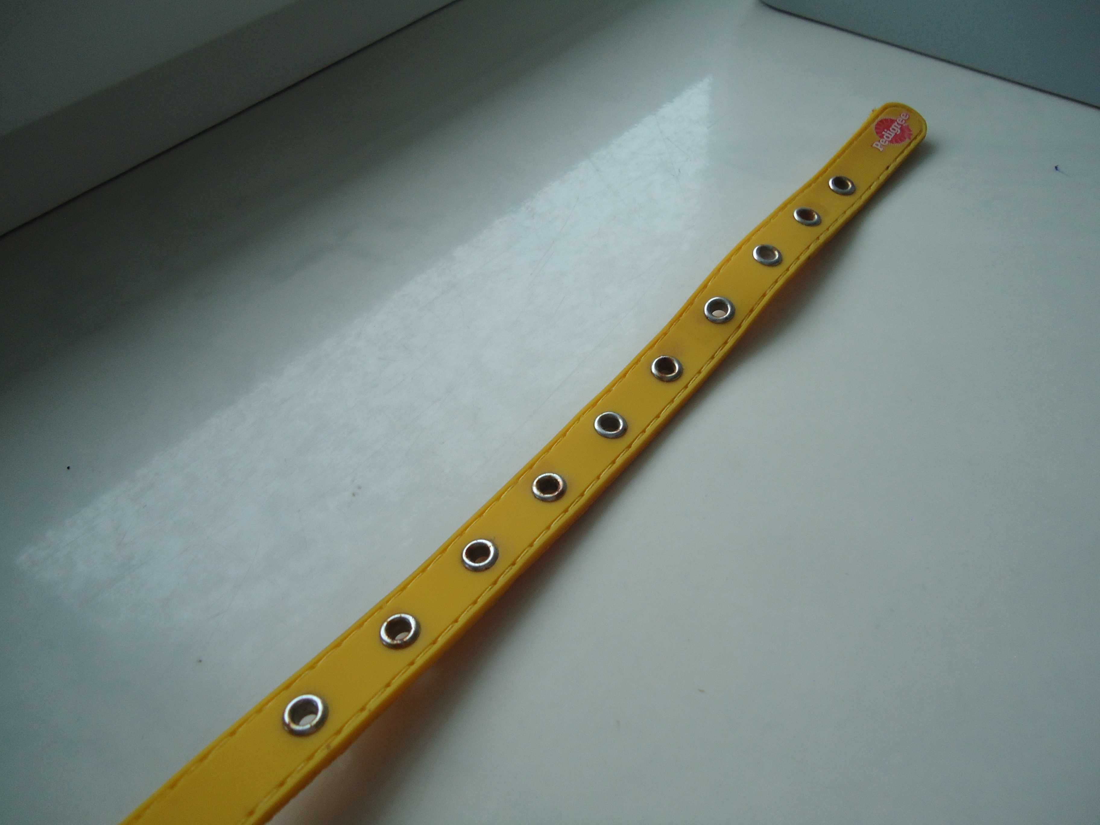 Żółta obroża dla psa 46cm nowa