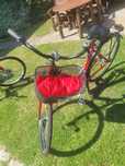 Rower Mustang czerwony