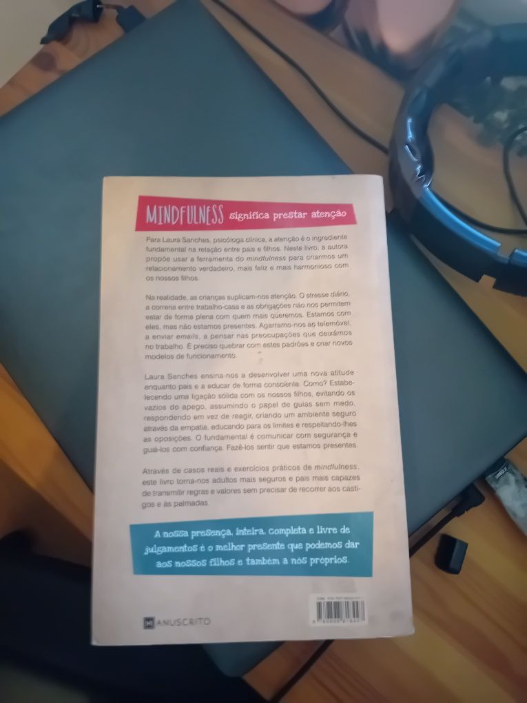 Mindeulness para pais