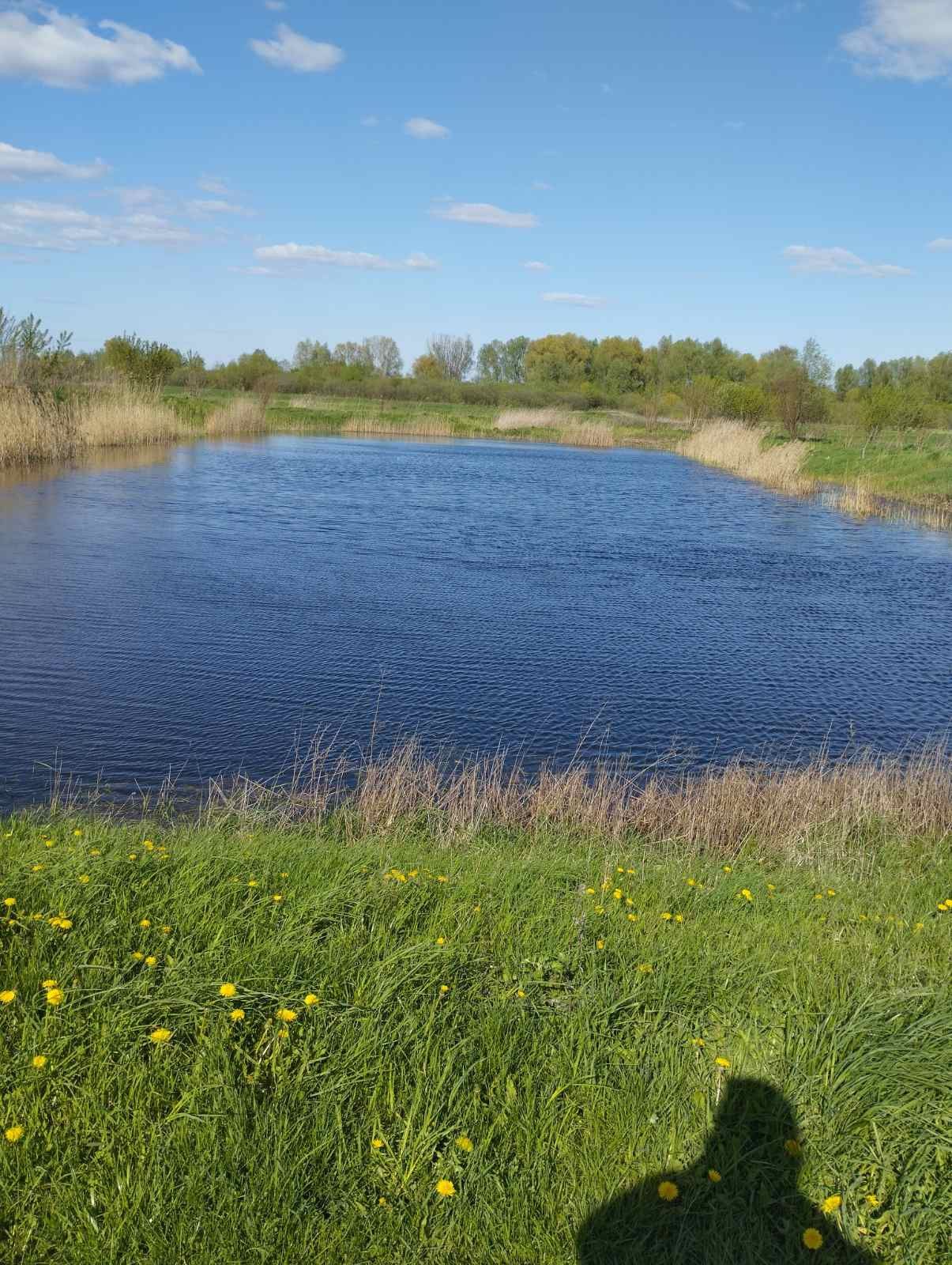 Продам земельну дiлянку