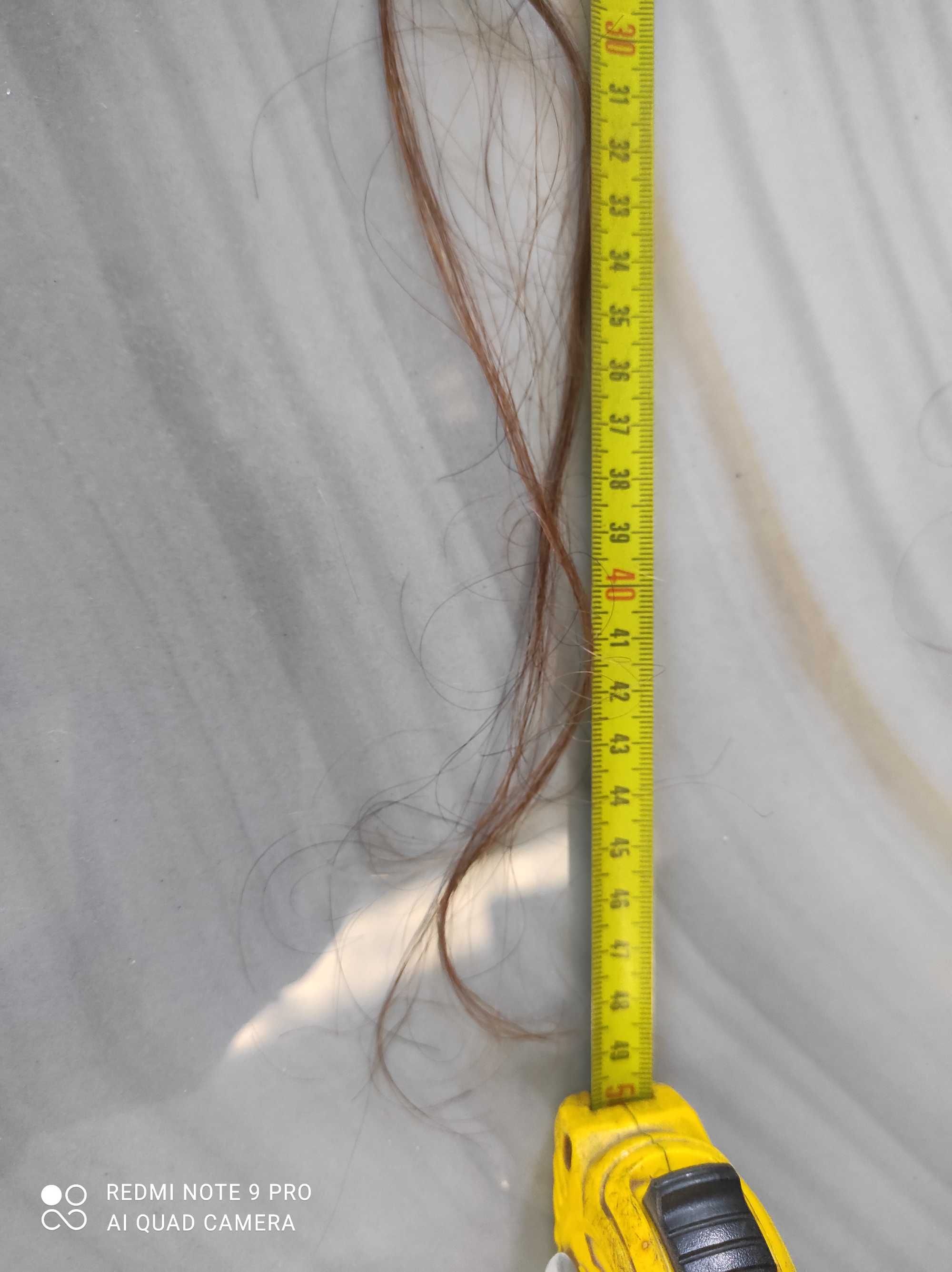 Włosy używane brąz 50 cm .135 sztuk
