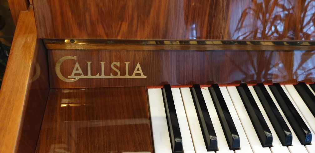 Pianino Calisia z krzesłem +dużo nut