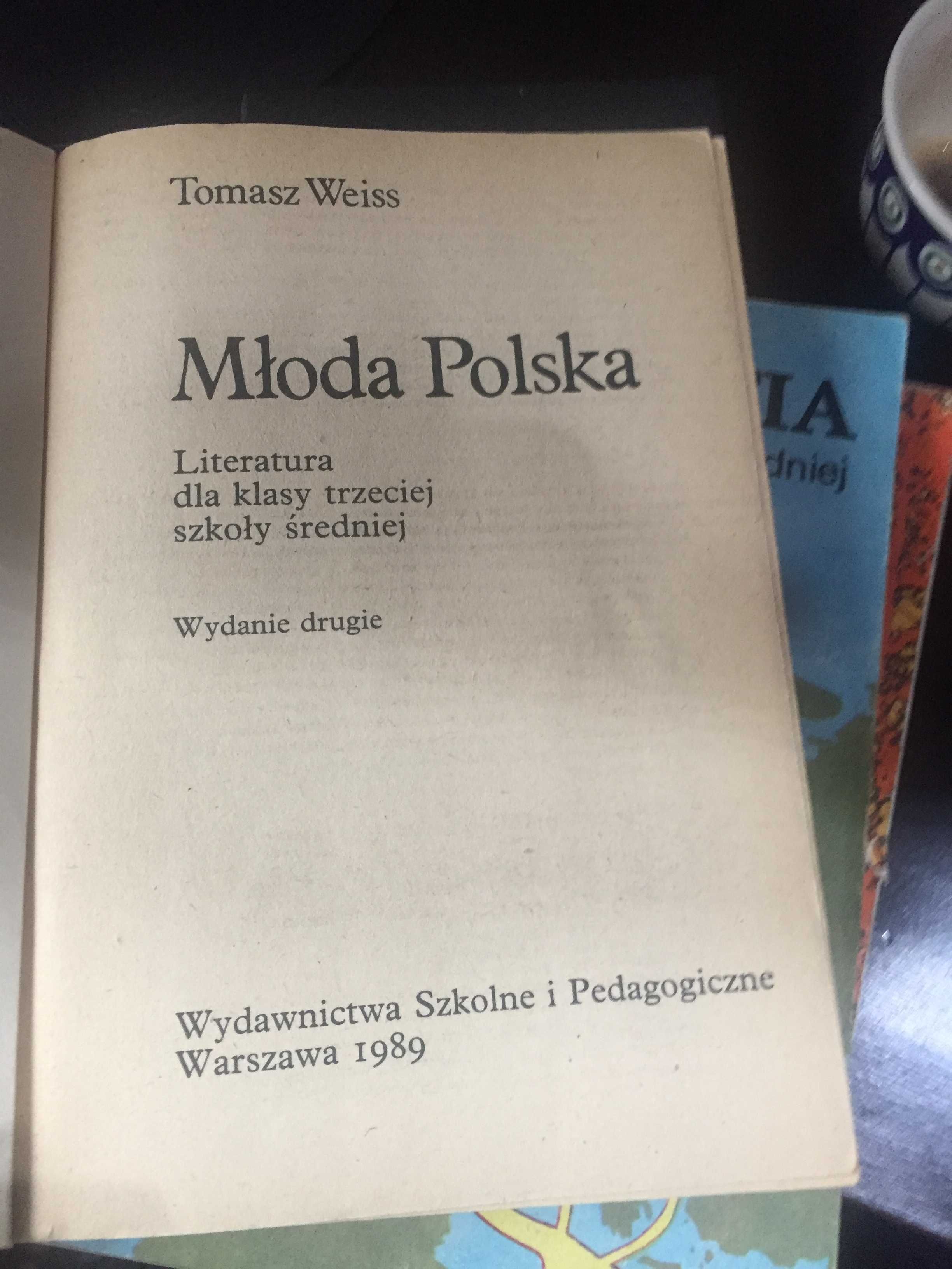 Stary podręcznik do j. polskiego, Literatura Młoda Polska, Weiss, 1989