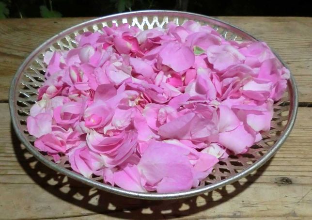 Чайная роза, сухие лепестки чайной розы всего 200грамм, цена за все