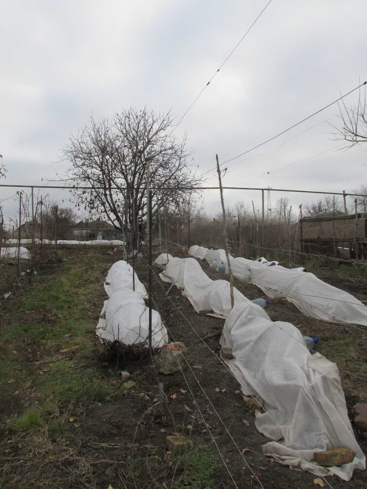 Двоповерховий будинок з видом на ставок в районі 8 школи