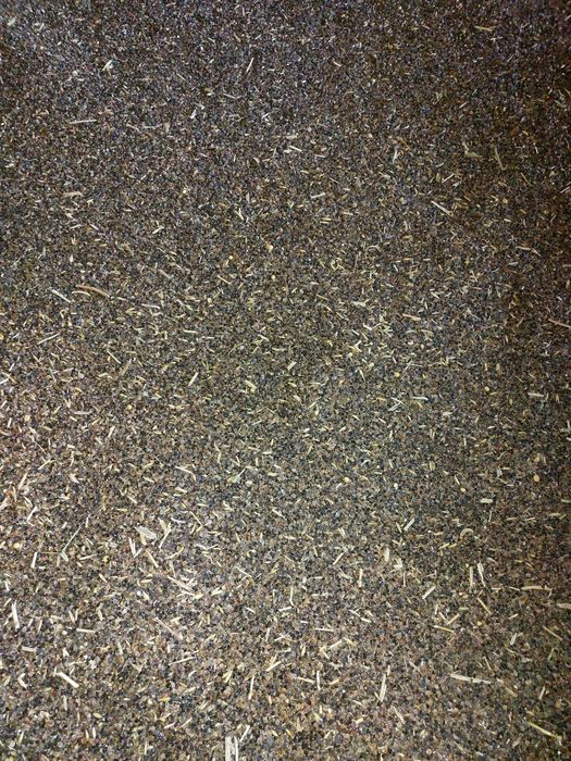 Gryka Smuga, ekologiczna, pierwszy zbiór po kwalifikacie