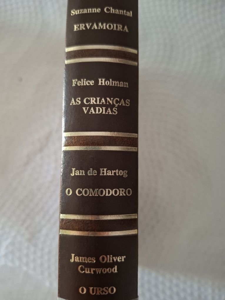 Livro Crianças Vadias