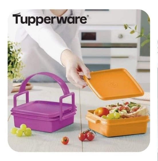 Congeladoras Tupperware 1,1 L  e outras promoções imperdíveis