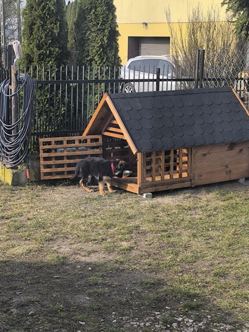 Piękne duże budy z tarasem.