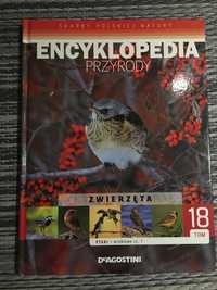 Encyklopedia Przyrody ptaki