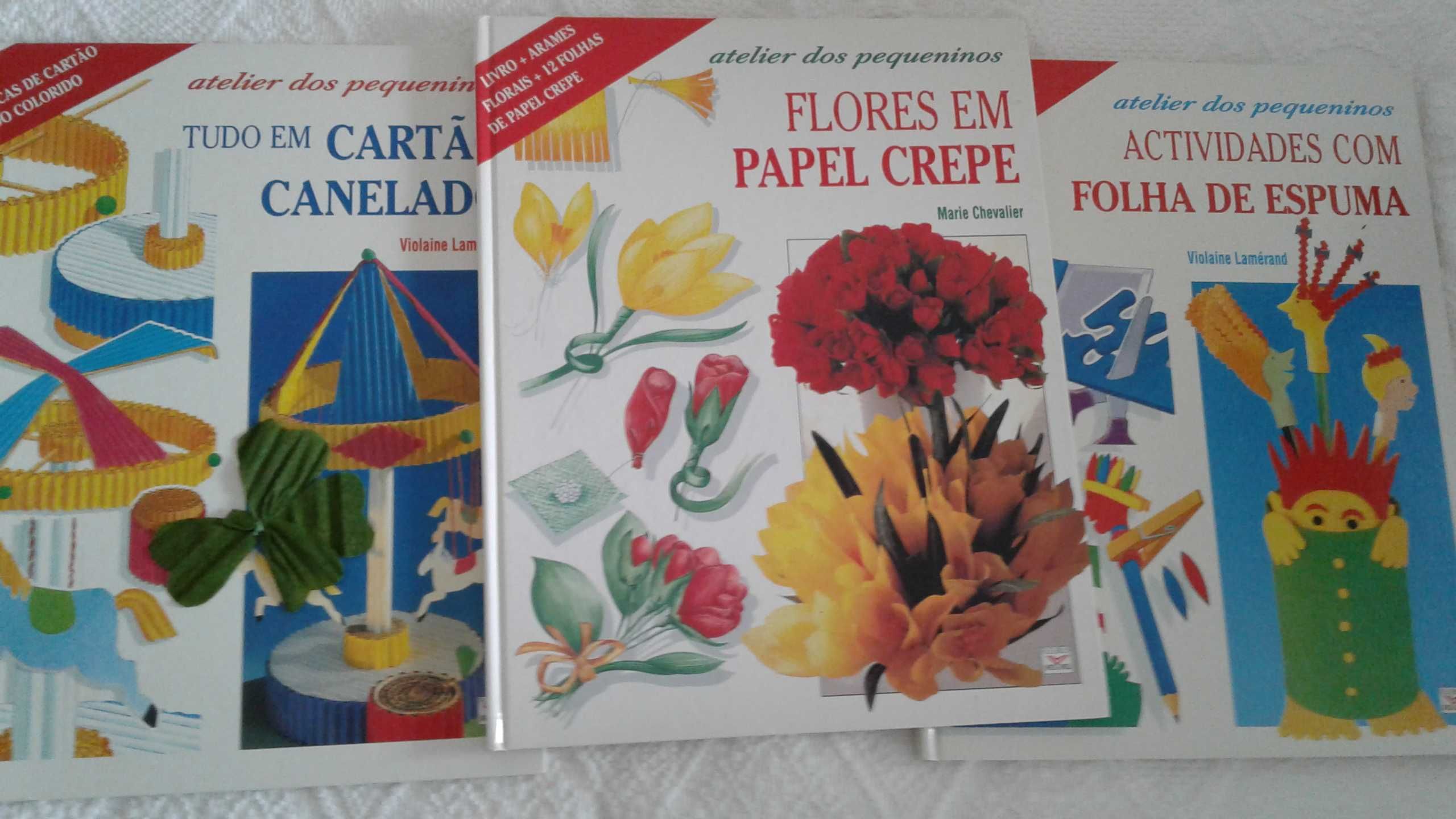 3 Livros: cartão canelado; papel crepe; folhas de espuma