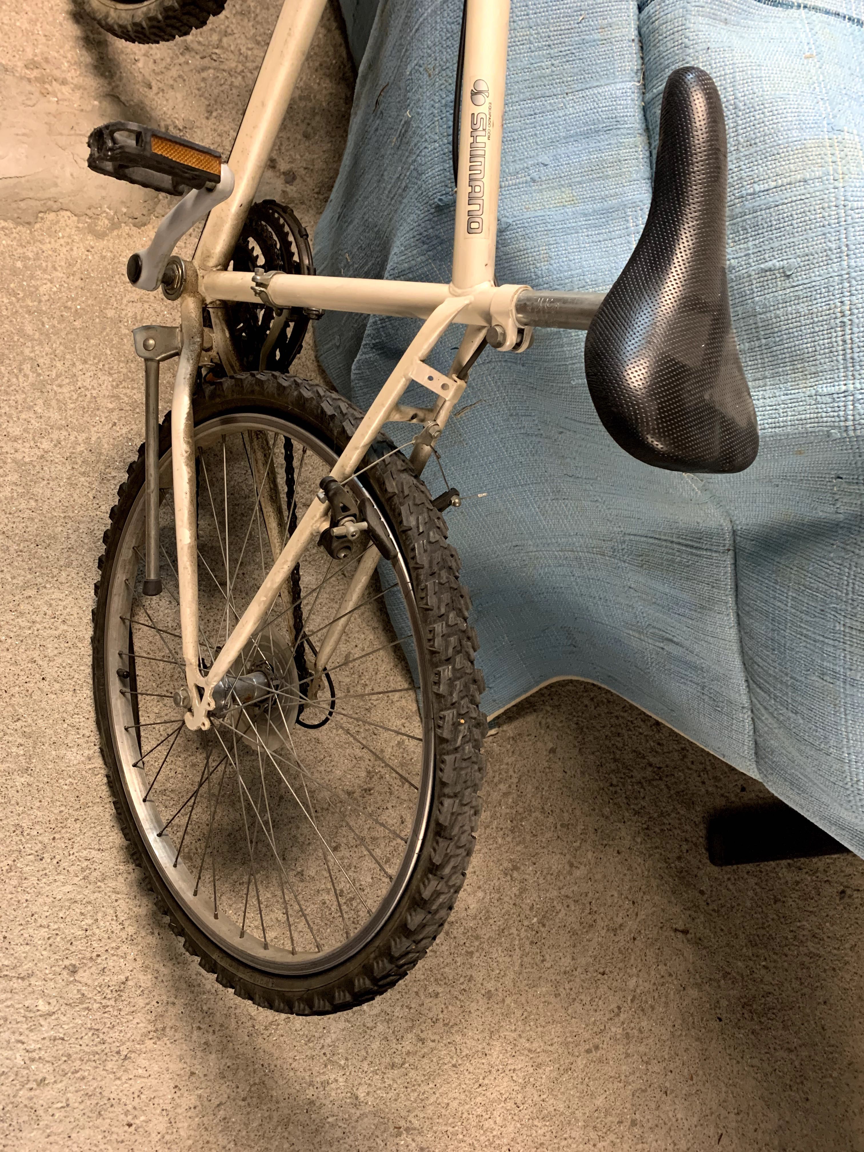 Bicicleta Simples
