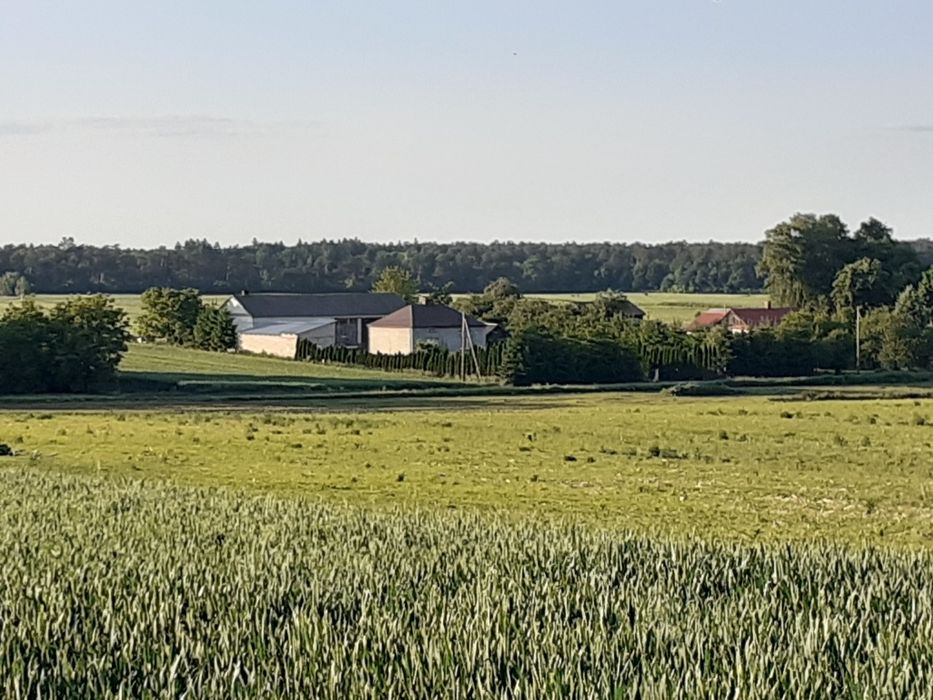Sprzedam gospodarstwo rolne,  siedlisko