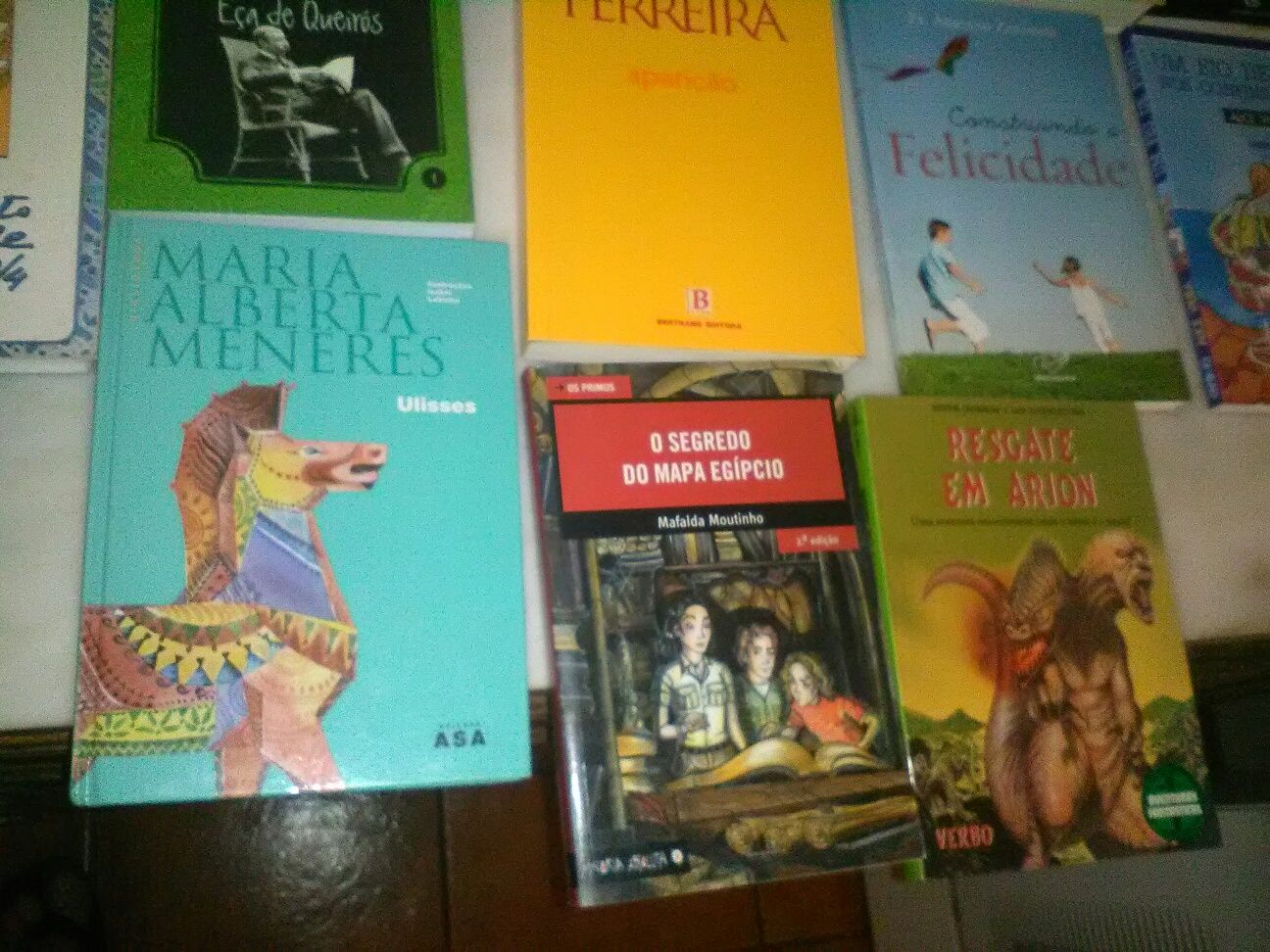 Conjunto de 23 Livros Diversos