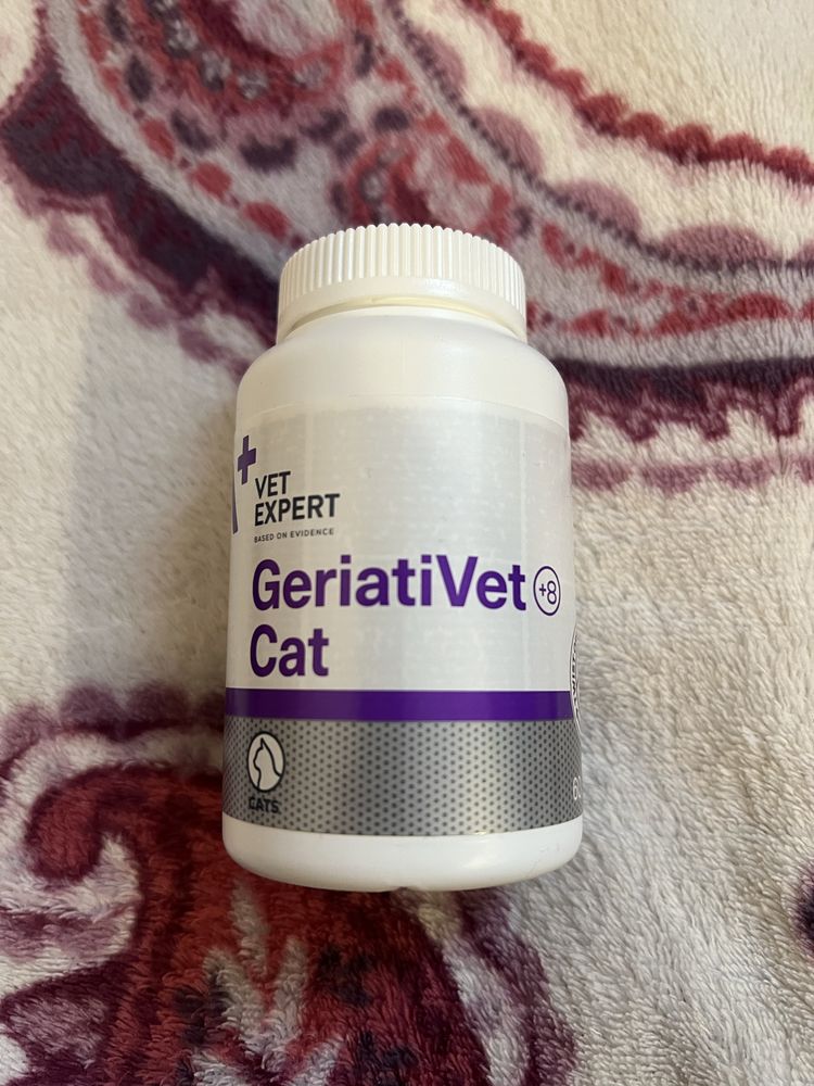 Geriativet cat vet expert