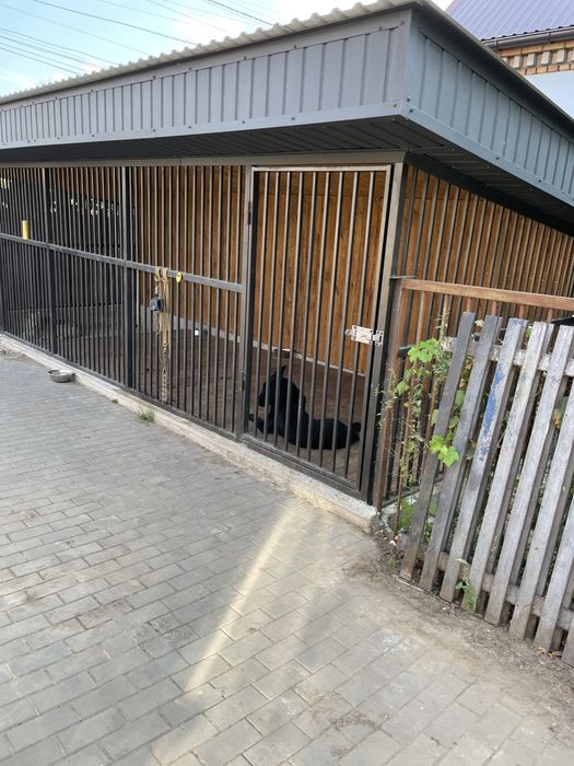 Строительные услуги. Укладка кирпича. Бетонные работы. Стяжка пола