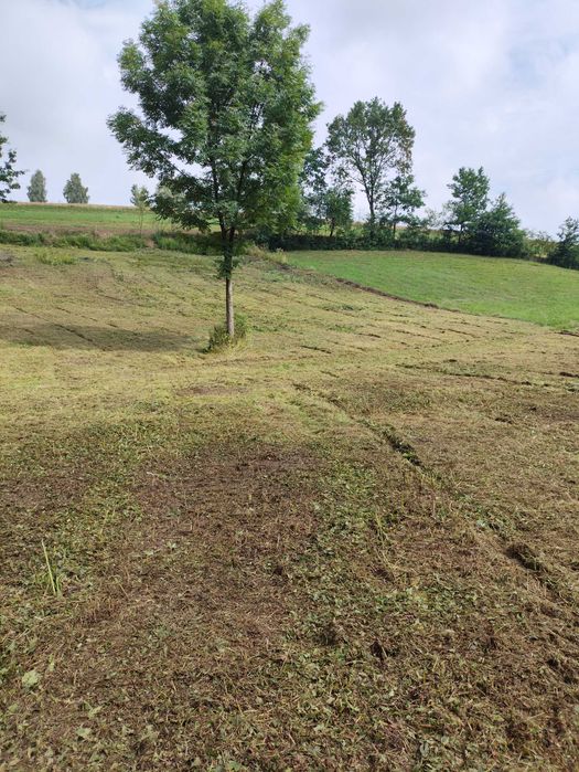 Działka 33 ary - Orzechówka