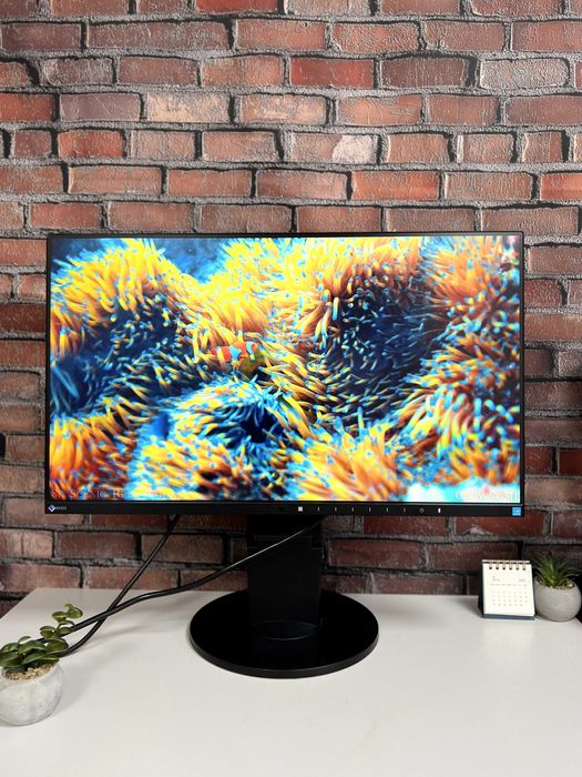 Монітор Eizo FlexScan EV2450·24