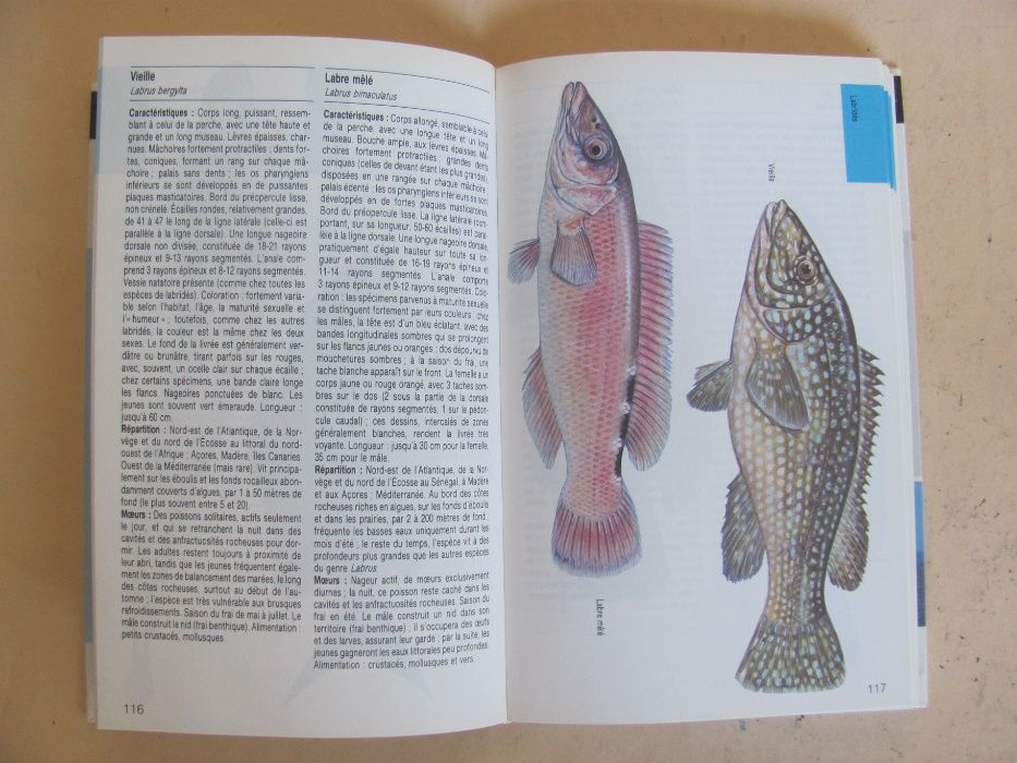 Les poissons deau douce et de mer - Fritz Terofal