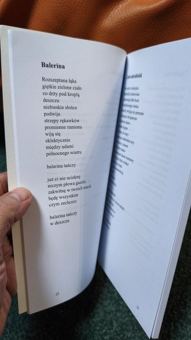 Pejzaże z okruchów dnia Teresa Kiara Duńska