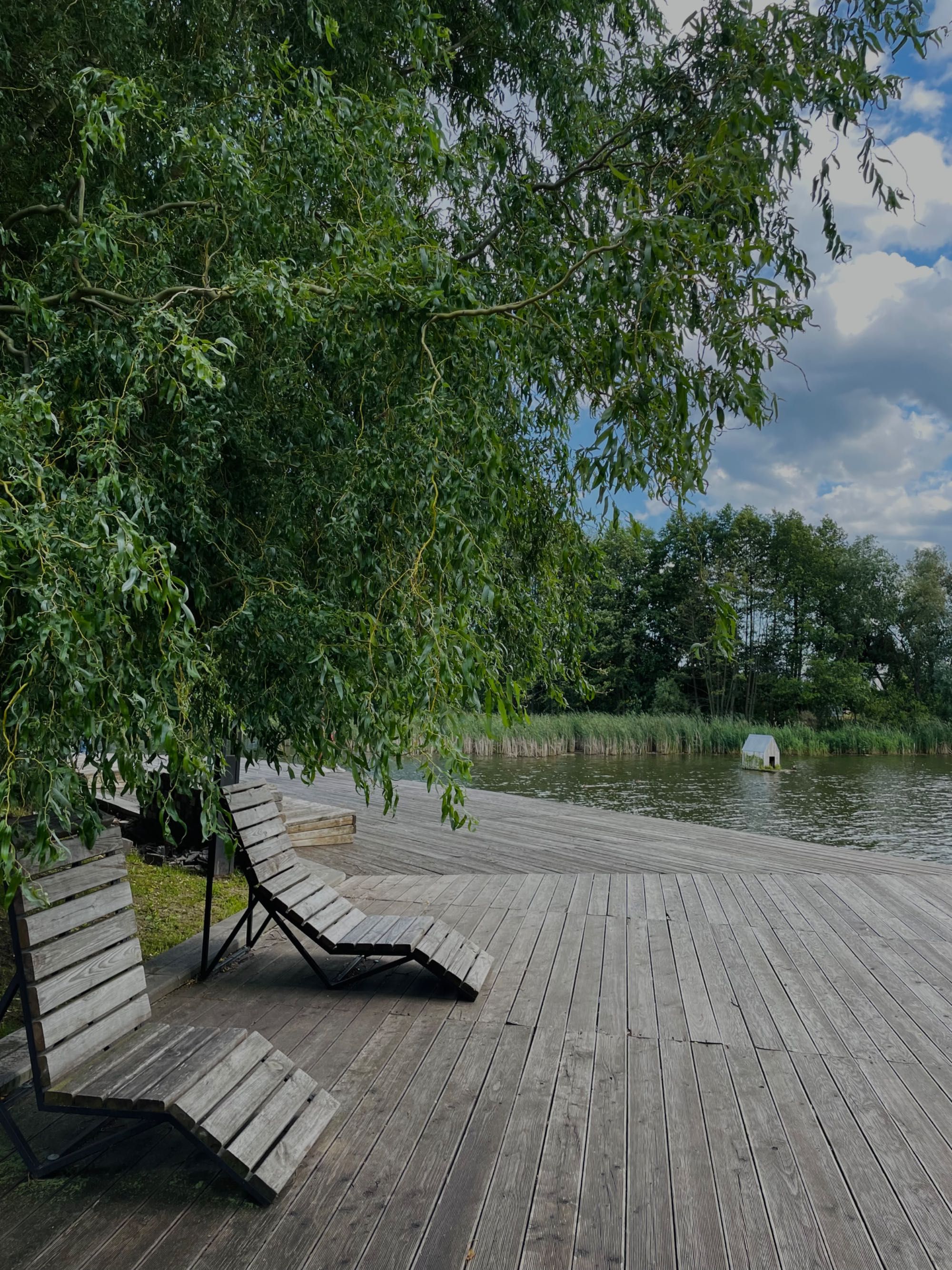 Квартира в Білогородці