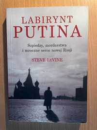 Labirynt Putina • Steve LeVine