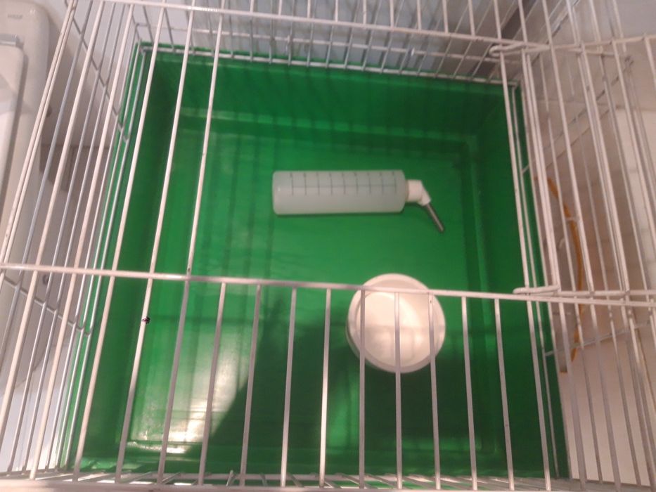 Gaiola de hamester baixa preço