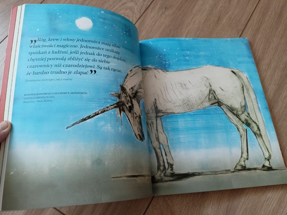 Harry Potter. T.1-2. Quidditch. Fantastyczne zwierzęta. Cuda natury