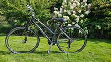 Trekkingowy rower damski Kellys, Omega