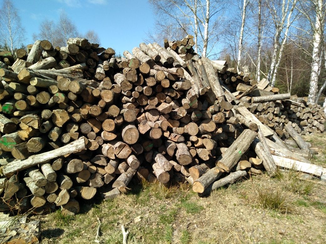 Drewno kominkowe każdy gatunek suche mokre