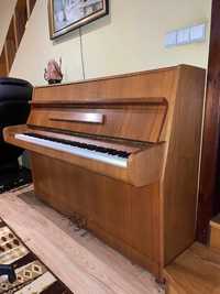 Pianino Calisia M-105