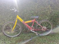 Rower dla dziecka, Rama 15
