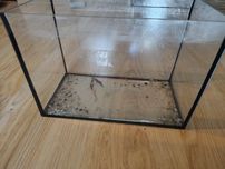 Akwarium-terrarium 10l