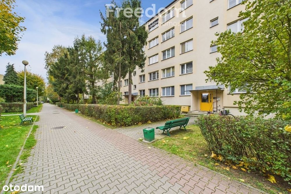 Mieszkanie do wejścia