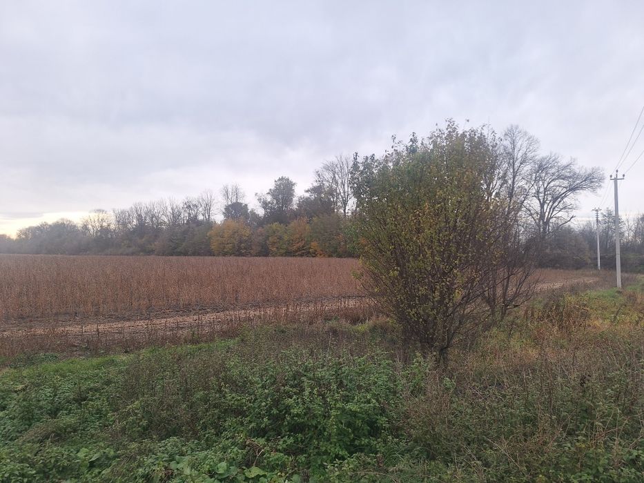 Земельна ділянка с.Берегомет траса на Івано-Франківськ