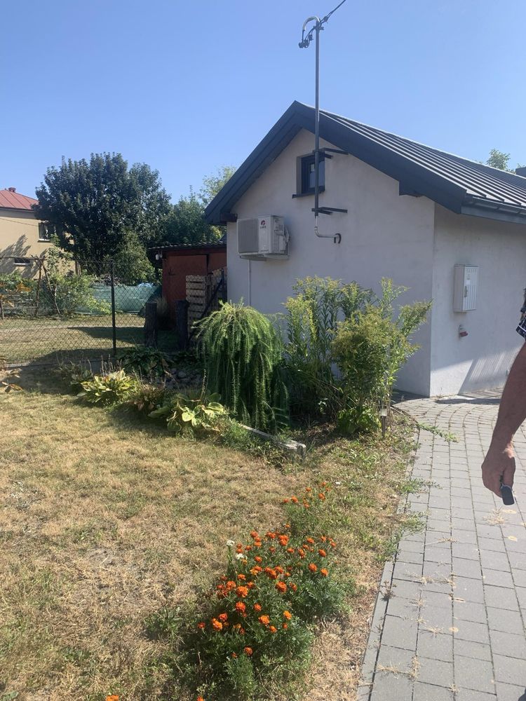 Dom na wynajem !