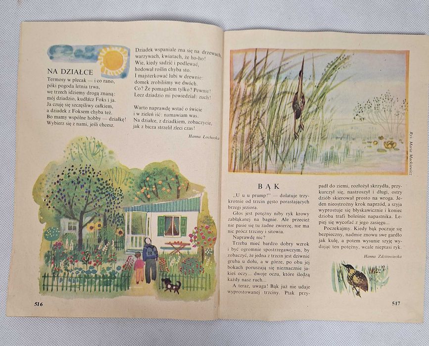 Świerszczyk Tygodnik dla młodszych dzieci Nr 33 (1444) 12 VIII 1973