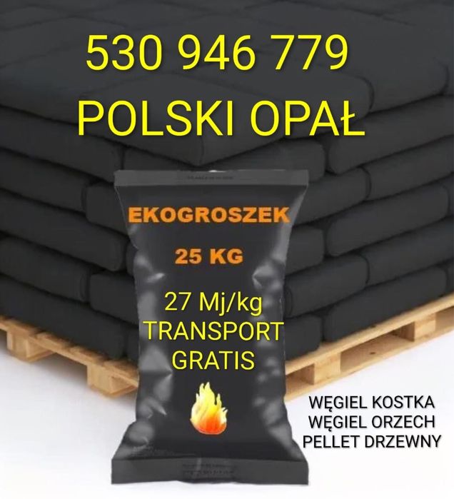 Węgiel kostka Polski ekogroszek pellet orzech Piotrków Trybunalski