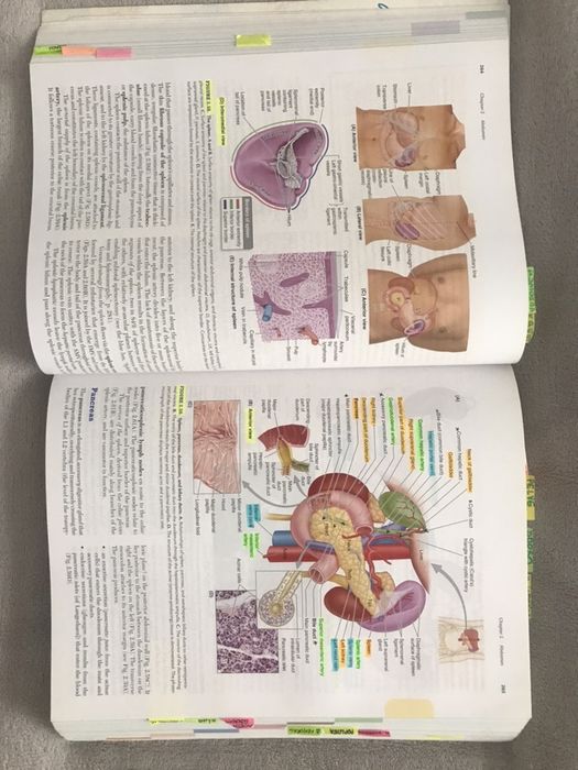 Livro “Clinically oriented Anatomy” de Moore