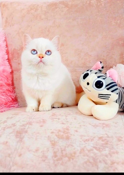 Казкова дівчинка неймовірна мазунка