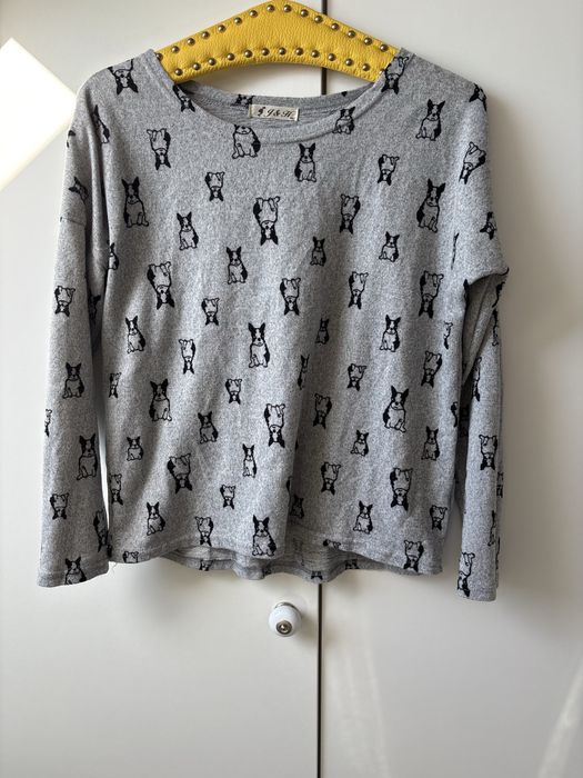 Bluzka sweter buldog grancuski M