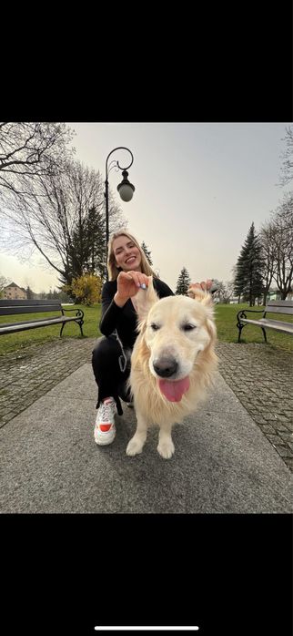 Opieka nad psem w domu – małe i średnie psy, cały tydzień, weekendy