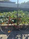 Bicicleta profissional