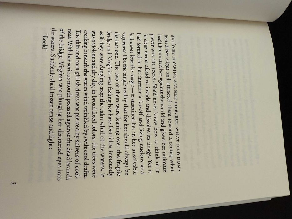 Clarice Lispector – The Chandelier - O Lustre